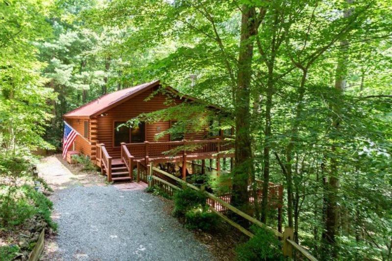 Villa Mountain Spirit Cabin - Fireplace And Hot Tub Blue Ridge Exterior foto